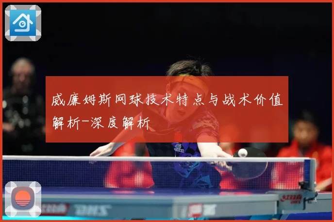 威廉姆斯网球技术特点与战术价值解析-深度解析